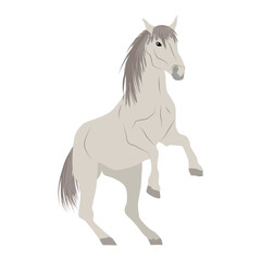 The white horse reared up. Realistic vector animal