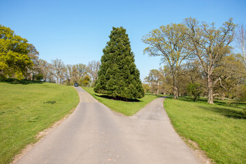 Springtime country lanes in the English countryside.