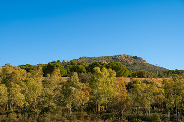 Fototapeta na wymiar Paisaje con árboles y cielo azul, horizonte naturaleza.