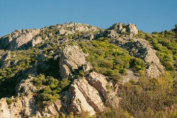 Fototapeta na wymiar Paisaje de montaña con arboles y rocas.