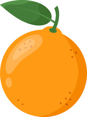 Fresh ripe orange. Healthy organic food or fruits theme. Vector illustration isolated on white background.