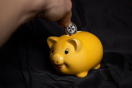 Mit Sparschwein Geld sparen auch mit ein Euro Stücken