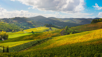 Fototapeta na wymiar Radda in Chianti landscape, vineyards in autumn. Tuscany, Italy