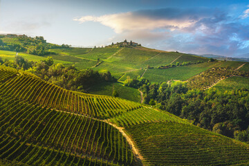 Vineyards on the Langhe hills in the morning, Piedmont, Italy Europe.