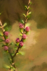Digital painting of young conifer pine cone shoots isolated in a natural environment.