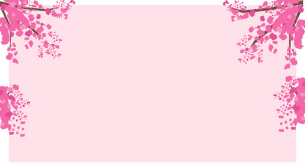 Horizontal pink background with cherry blossom.