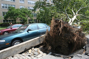 Tornado in Brooklyn