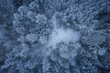 Fototapeta premium pattern on window