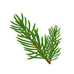 Pine Serum natural Skin Care Cosmetic
