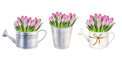 watercolor illustration of spring pink tulip flowers in metallic backet