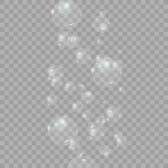 	
Bubble vector. soap bubble on a transparent background. Vector design.