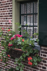 A small window decorated with hanging planters and blooming geraniums.