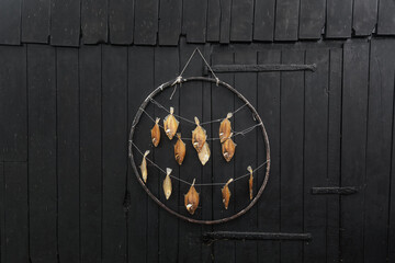 Dried fish against a black tarred wall. - 564677517