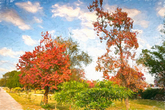 Photo painting - autumn trees in Van Gogh style 
