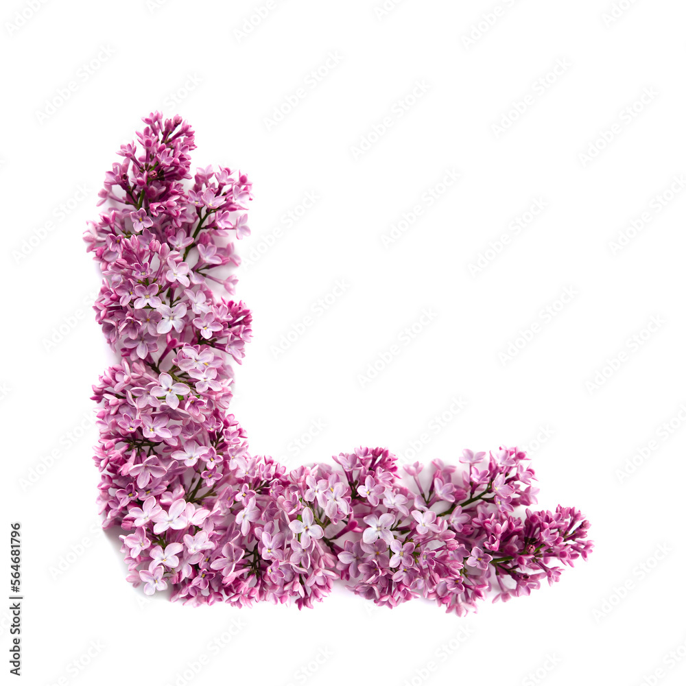 Sticker Macro image of spring soft violet lilac flowers, lilac branch isolated on white background