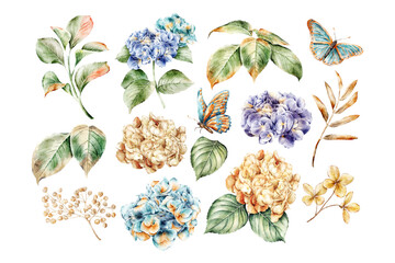 Watercolor flowers collection on white background