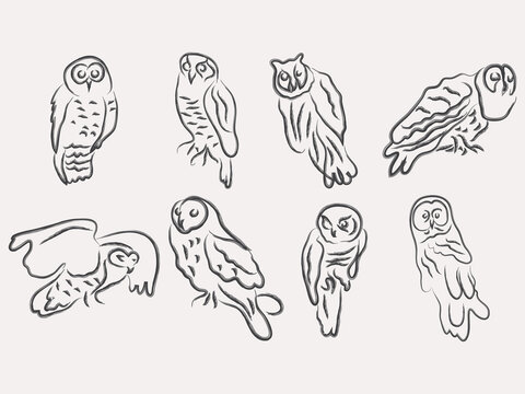 abstract owl sketch painting outline clipart.owl doodle vector illustration