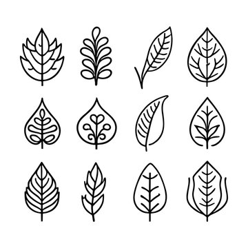 Set of different hand drawn different plants leaves. Vector outline illustration drawings on a white background. Collection of monstera, maranta, calathea, ivy, willow, cherry and other tree leaves