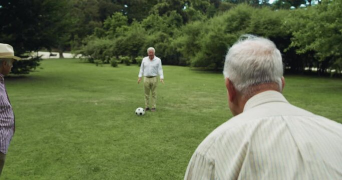 Group of Elderly Men Getting Together in a Park and Playing a Friendly Match of Football. Active Senior Men Fighting Stereotypes and Ageism By Exercising Outdoors and Playing Soccer