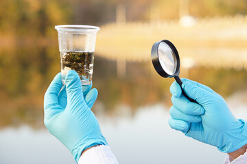 Close up ecologist hands wears blue gloves, holds magnifying glass and glass that contain sample water and water plants from the lake. Concept, explore, inspect water quality           