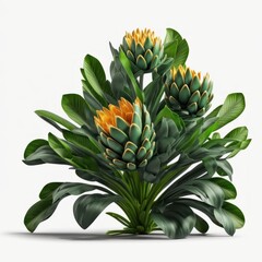 Obraz premium bouquet of Tulip blossoms floral arrangement isolated on white with background.