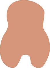 dog bone illustration