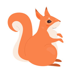 Forest wild squirrel animal. Cute rodent mammal with fluffy fur vector illustration