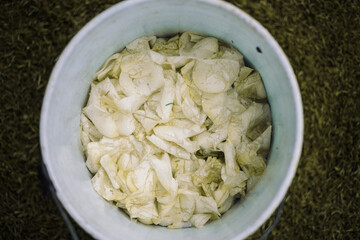 pétalos