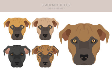 Black mouth cur clipart. Different coat colors and poses set