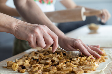 Hands of mother and daughter, preparation of filling for a sweet pie with apples and raisins