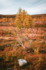 Beautiful norwegian landscape with mountains in the background and moody rainy weather