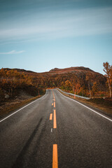 Fototapeta na wymiar Empty road in the norwegian autumn landscape