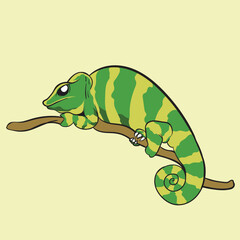 Illustration of chameleon