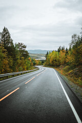 Fototapeta na wymiar Empty road in the norwegian autumn landscape