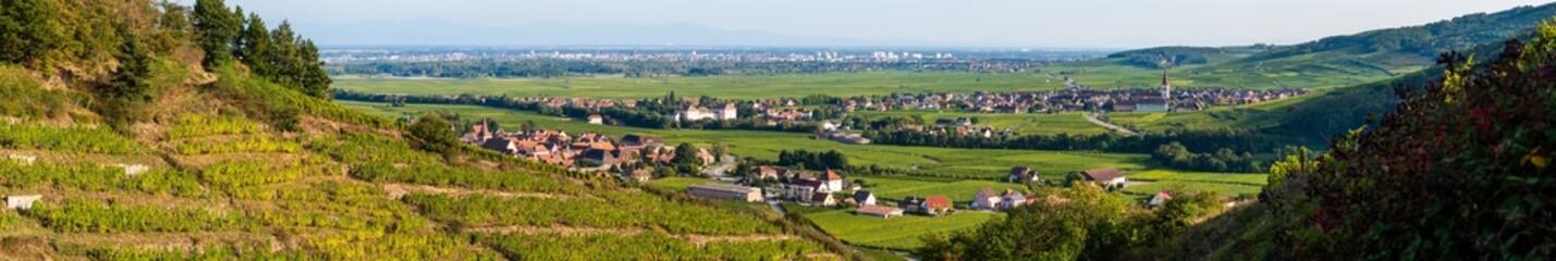 Les vignes alsaciennes depuis les coteaux de la vallée de Kaysersberg, CEA, Alsace, Grand Est,...