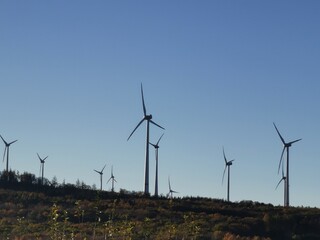 wind turbine in the field