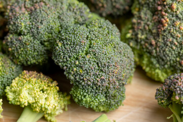 Green ripe broccoli in raw form