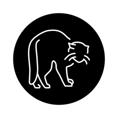Standing angry cat color line icon. Pictogram for web page