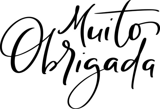 Muito Obrigada handwritten lettering text. Thank you very much in Portuguese language. Ink illustration. Modern brush calligraphy. Isolated on white background. Gratitude words for postcards