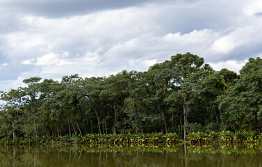 Image taken at the Roberto Burle Marx City Park in São José dos Campos, São Paulo, Brazil.