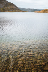 Rough landscape in the norwegian tundra in autumn