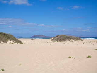 sand dunes and sea