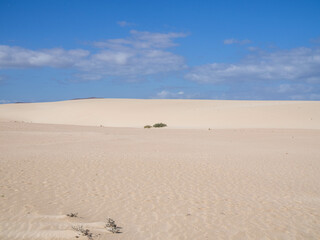 sand dunes in the desert