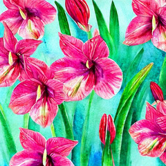 Obraz na płótnie Canvas Ritterstern Blumen 