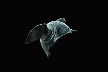 Helmet with wings of Hermes (Mercury). Fragment of an ancient statue on black background.