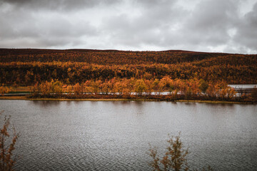 Norwegian fjord on a moody autumn day with beatiful colored trees