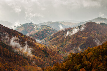 Autumn in Apuseni Mountains from Romania. Beautiful fall color landscape in the heart of the mountains during a cloudy foggy morning after a rain. Travel to Transylvania.