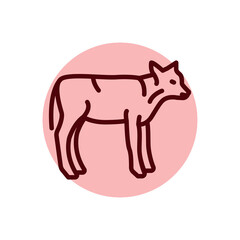 Calf animal color line icon. Pictogram for web page