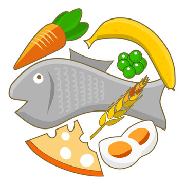 Alimentation &eacute;quilibr&eacute;e