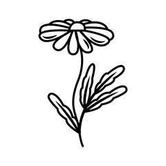 Vector drawing of a spring flower in the doodle style. vintage flower, template, wedding card, invitation, greeting card, poster, postcard.